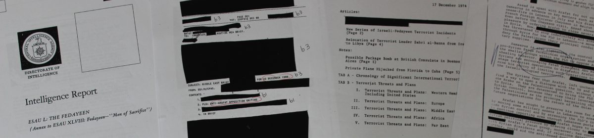 Terrorismus & Geheimdienste: Historische Expertise von Thomas Riegler 