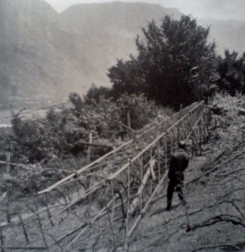 feuer_nacht_giugno_1961