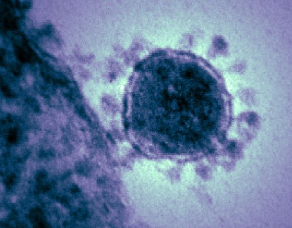 Spionieren in Zeiten des&nbsp;Coronavirus